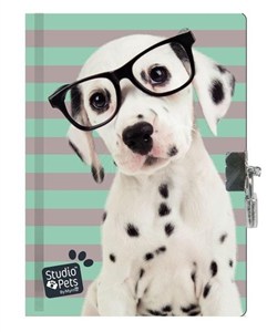 Obrazek Pamiętnik z kłódką Studio Pets