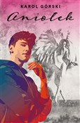 Polnische buch : Aniołek - Karol Górski