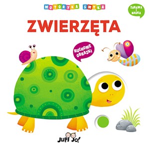 Bild von Kolory. Motoryka smyka