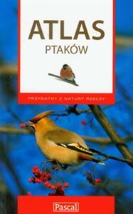 Obrazek Atlas ptaków