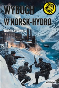 Obrazek Wybuch w Norsk-Hydro