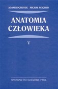 Anatomia c... - Adam Bochenek, Michał Reicher - buch auf polnisch 