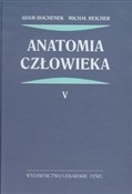 Polnische buch : Anatomia c... - Adam Bochenek, Michał Reicher