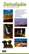 Dolnośląsk... - Krzysztof Bzowski, Michał Jurecki, Eliza Malawska-Kłusek, Tadeusz Nuckowski - buch auf polnisch 