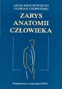 Zarys anat... - Adam Krechowiecki, Florian Czerwiński - buch auf polnisch 