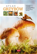 Atlas grzy... - Wiesław Kamiński -  Polnische Buchandlung 