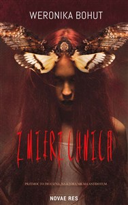 Bild von Zmierzchnica