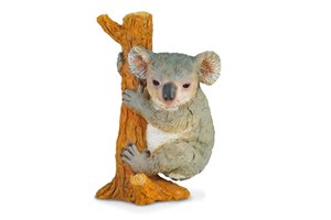 Obrazek Miś koala wspinający się M