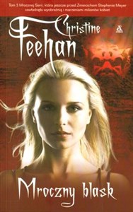 Obrazek Mroczny blask t.3