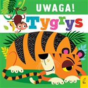 Uwaga tygr... - Anna Paszkiewicz -  Polnische Buchandlung 
