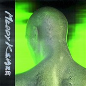 [Audiobook... - White 2115 -  polnische Bücher