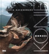 Konie - Zofia Raczkowska, Marek Wajda, Izabella Pawelec-Zawadzka, Jerzy Iwaszkiewicz -  Książka z wysyłką do Niemiec 
