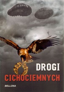 Bild von Drogi cichociemnych