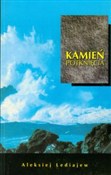 Kamień pot... - Aleksiej Lediajew -  Książka z wysyłką do Niemiec 