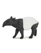 Tapir - buch auf polnisch 