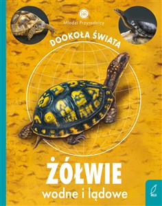 Bild von Młodzi przyrodnicy Żółwie wodne i lądowe