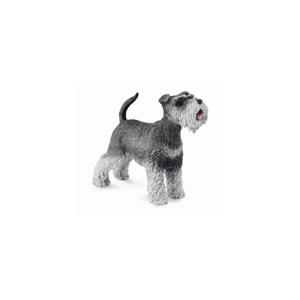 Bild von Schnauzer M