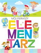 Polska książka : Mój pierws... - Anna Wiśniewska, Krzysztof Wiśniewski