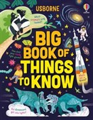 Big Book o... - James MacLaine, Laura Cowan, Sarah Hull - buch auf polnisch 