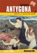 Antygona - Sofokles - buch auf polnisch 