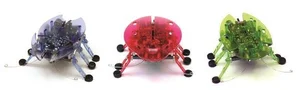 Bild von Hexbug Żuczek