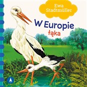 W Europie ... - Ewa Stadtmuller - Ksiegarnia w niemczech