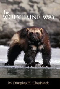 Bild von Wolverine Way
