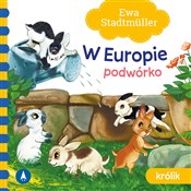 W Europie ... - Ewa Stadtmuller - buch auf polnisch 