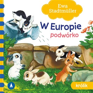 Obrazek W Europie Podwórko Królik