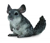 Polska książka : Szynszyla ...