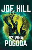 Zobacz : Dziwna pog... - Joe Hill