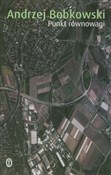 Punkt równ... - Andrzej Bobkowski - Ksiegarnia w niemczech