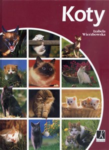 Bild von Koty