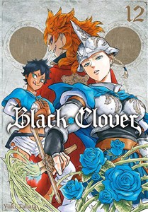 Bild von Black Clover. Tom 12