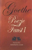 Goethe Poe... - Wolfgang von Goethe Johann - buch auf polnisch 
