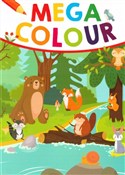 Mega Colou... - Opracowanie Zbiorowe -  polnische Bücher