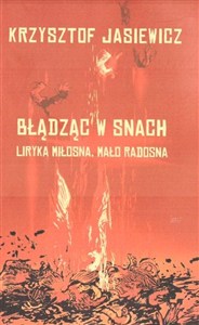 Bild von Błądząc w snach Liryka miłosna, mało radosna