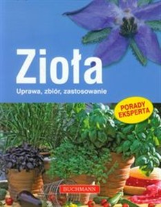 Bild von Zioła Uprawa, zbiór, zastosowanie