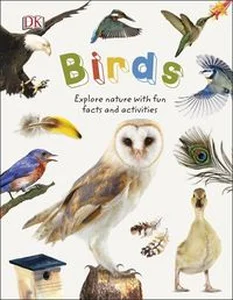 Obrazek Birds
