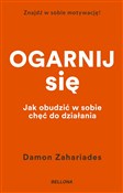 Ogarnij si... - Damon Zahariades -  fremdsprachige bücher polnisch 