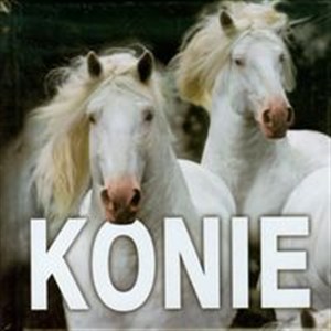Obrazek Konie