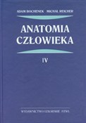 Anatomia c... - Adam Bochenek, Michał Reicher -  Książka z wysyłką do Niemiec 