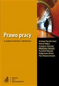 Polnische buch : Prawo prac...