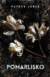 Obrazek Pomarlisko Wielkie Litery