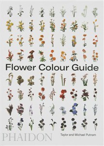 Obrazek Flower Colour Guide