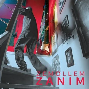 Obrazek Zanim