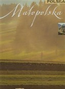 Małopolska... -  polnische Bücher