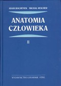 Anatomia c... - Adam Bochenek, Michał Reicher -  Książka z wysyłką do Niemiec 