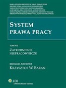 System pra... - buch auf polnisch 