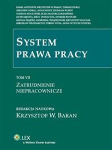 Obrazek System prawa pracy Tom 7 Zatrudnienie niepracownicze